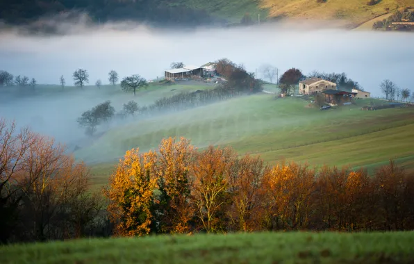Поле, деревья, горы, туман, дом, утро, Италия, провинция Мачерата