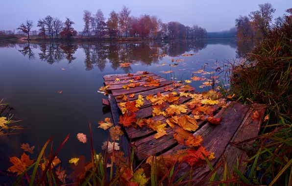 Картинка осень, трава, листья, пейзаж, природа, озеро, мосток, Подмосковье