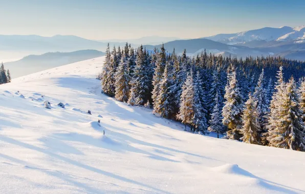 Картинка зима, снег, деревья, горы, природа, фон, обои, елки