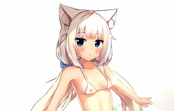 Girl, sexy, cleavage, long hair, boobs, animal ears, anime, blue eyes