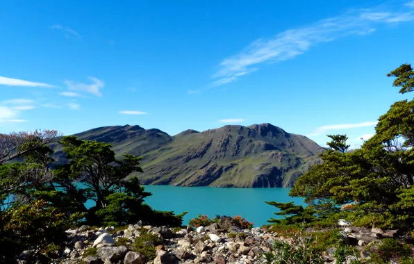 Картинка горы, озеро, камни, кусты, Аргентина, Patagonia
