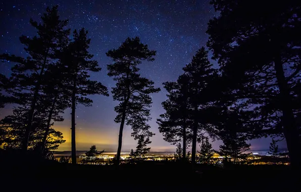 Картинка деревья, ночь, огни, силуэт, Швеция