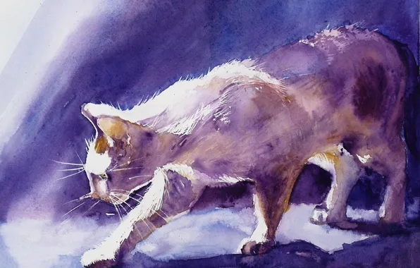 Картинка кошки, рисунок, гуашь