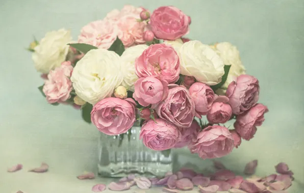 Цветы, розы, лепестки, ваза, розовые, белые, бутоны, flower