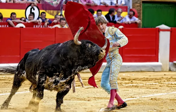 Картинка Испания, бык, тореадор