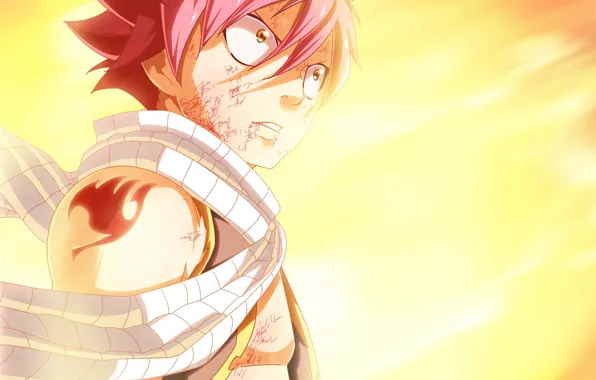 Парень, Fairy Tail, Нацу Драгнил, Хвост феи