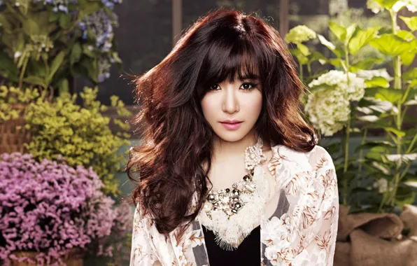 Девушка, музыка, азиатка, Tiffany, SNSD, Girls Generation, Южная Корея, K-Pop