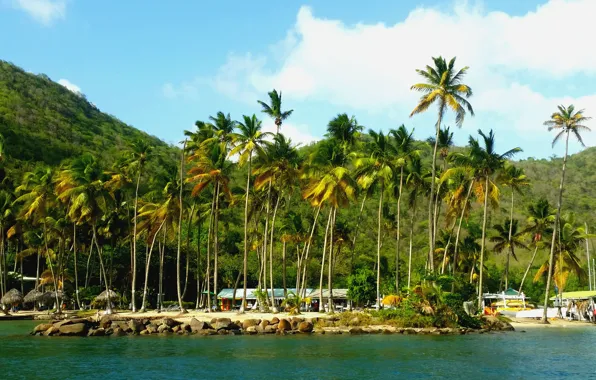 Пальмы, океан, курорт, Caribbean, St.Lucia