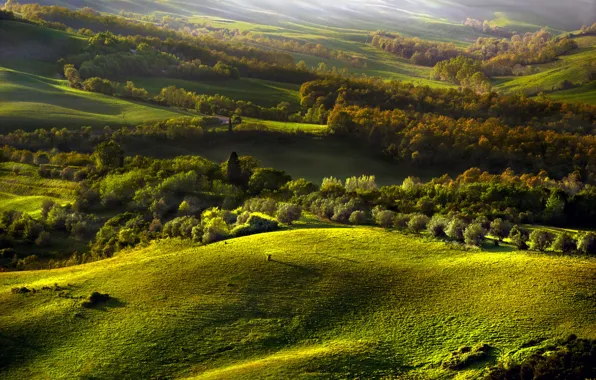 Осень, лес, холмы