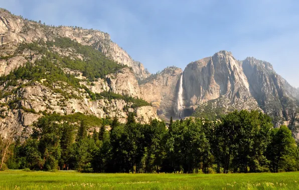 Горы, Лес, сша, калифорния, Yosemite