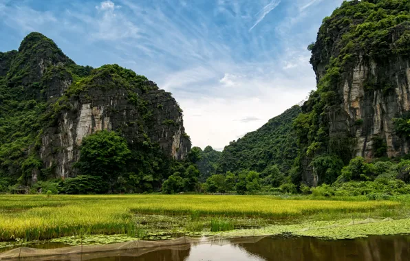 Картинка зелень, река, скалы, Вьетнам, Ninh Binh