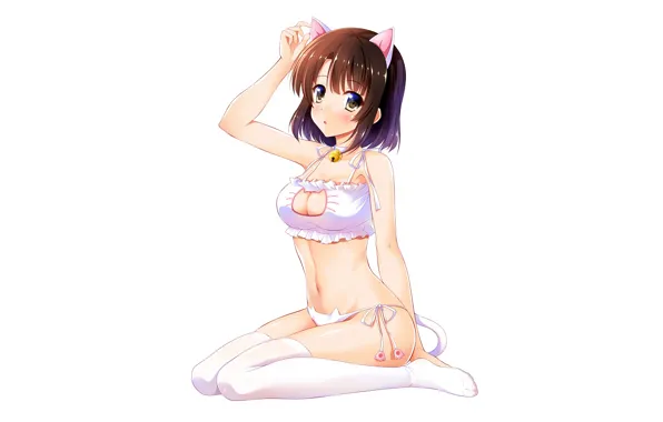 Girl, sexy, lingerie, pantsu, bra, cleavage, panties, thighhighs