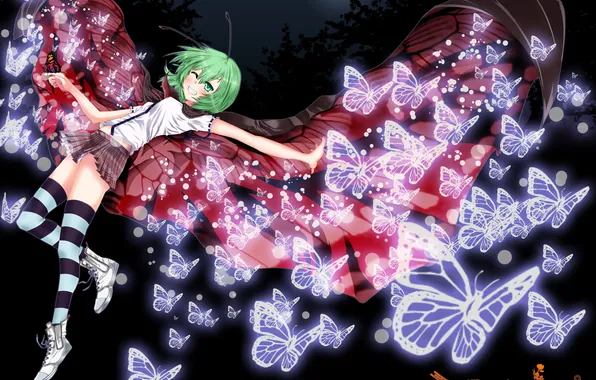 Девушка, бабочки, ночь, крылья, месяц, арт, touhou, wriggle nightbug