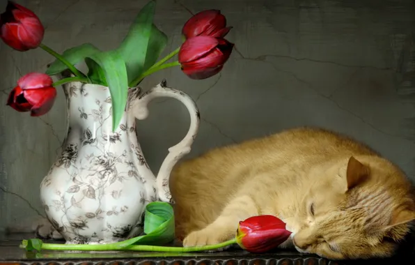 Картинка кошка, стиль, тюльпаны