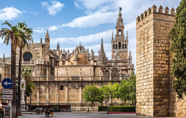 Город, архитектура, Испания, дворец, Севилья, Cathedral of Seville