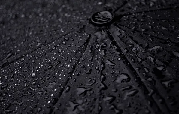 Картинка wallpaper, Rain, Umbrella, picture, Macro, Drops