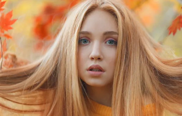 Картинка взгляд, девушка, лицо, волосы, Igor Egorov
