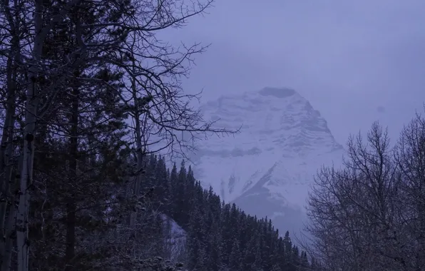 Картинка зима, небо, снег, деревья, природа, скала, гора