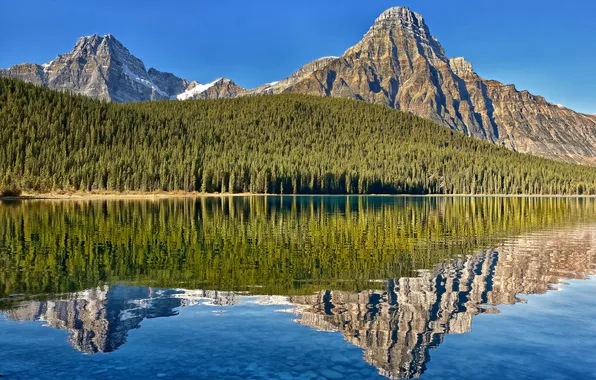 Картинка лес, горы, озеро, отражение, Канада, Альберта, Alberta, Canada