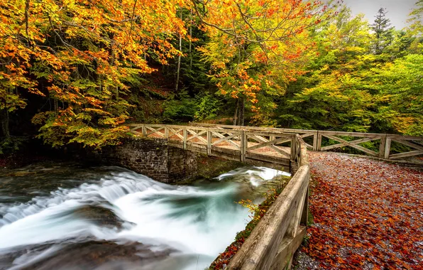 Картинка осень, мост, река