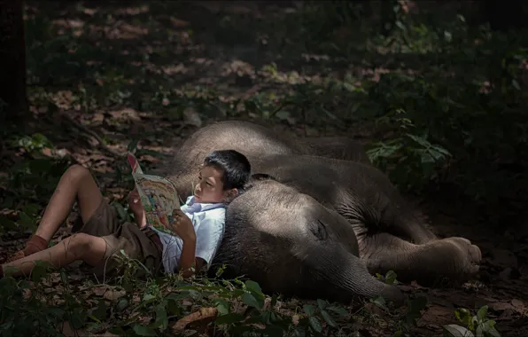 Мальчик, книга, двое, boy, чтение, book, elephant, reading