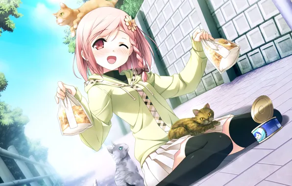 Кошки, улица, ограждение, корм, art, подмигивание, косичка, visual novel