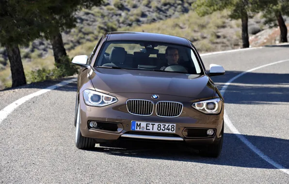 BMW, road, trees, driver, BMW 1