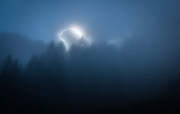 Forest, misty, mountains, clouds, sunlight, foggy, sunray