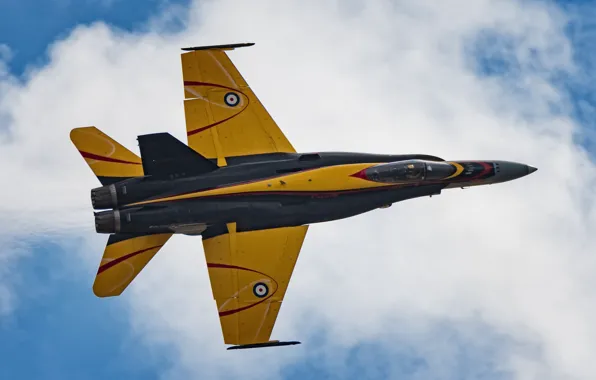 Истребитель, Hornet, Хорнет, CF-18