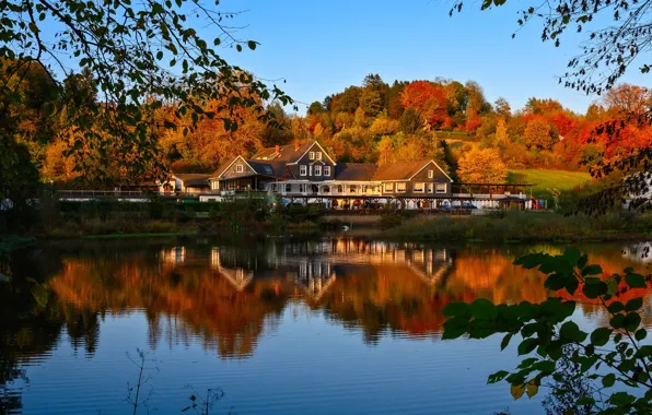 Картинка осень, лес, пейзаж, ветки, природа, озеро, дом, отражение