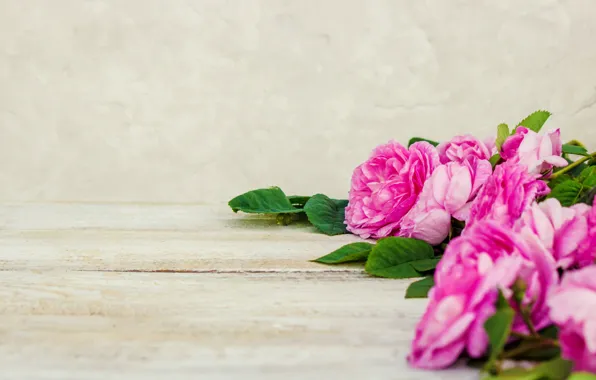 Картинка цветы, розы, лепестки, розовые, wood, pink, flowers, petals