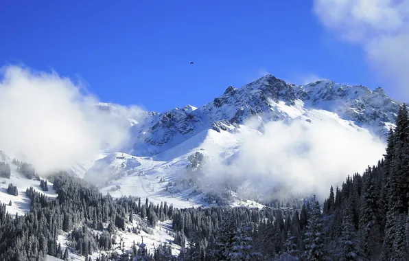 Картинка снег, пейзаж, горы