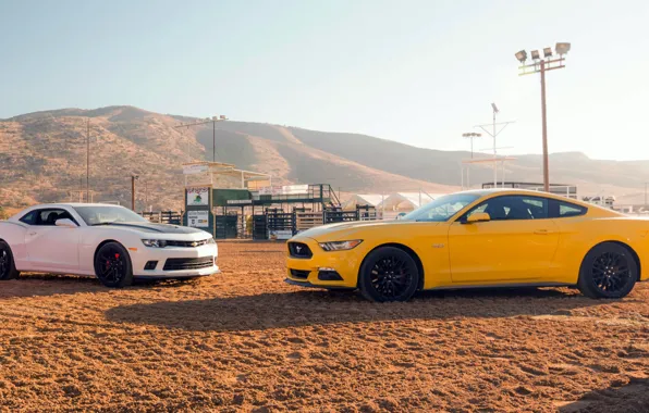 Ford, Chevrolet, muscle car