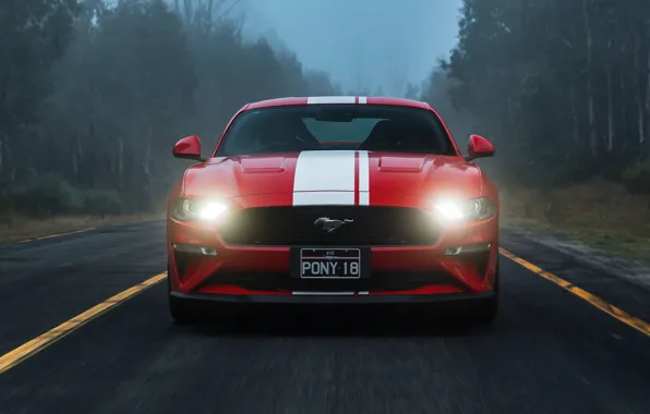 Ford, вид спереди, Fastback, 2018, Mustang GT