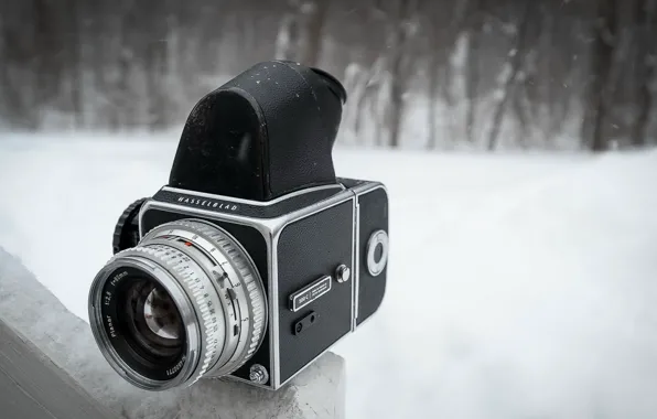 Макро, фон, камера