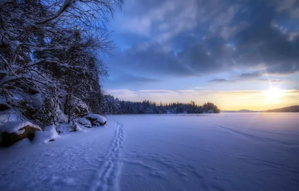 Картинка зима, поле, снег, пейзаж