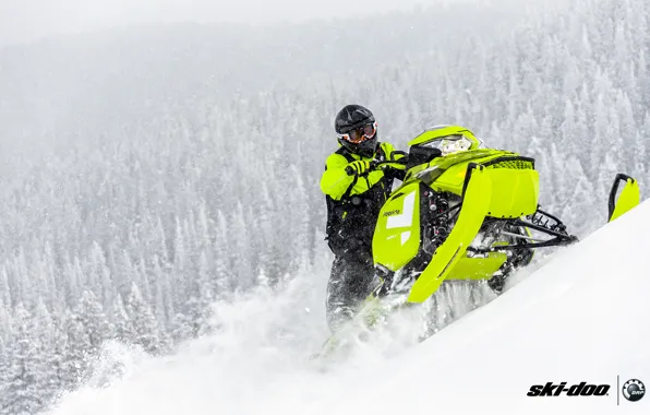 Картинка лес, снег, салатовый, снегоход, snowmobile, Ski Doo