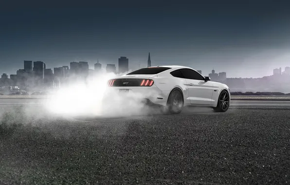 Mustang, Ford, Muscle, Car, White, Smoke, Wheels, Rear
