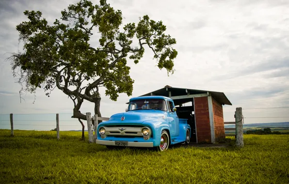 Картинка blue, f-100, ford