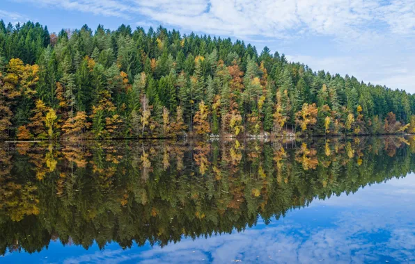 Осень, лес, деревья, озеро, отражение, Германия, Бавария
