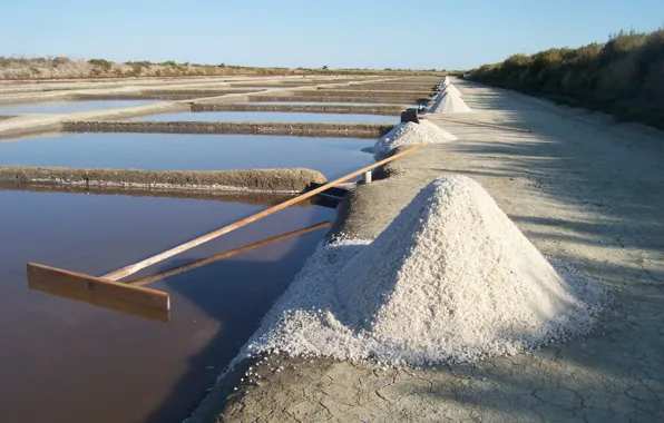 France, Salt, Ile de Ré, Salt marsh, Charente Maritime