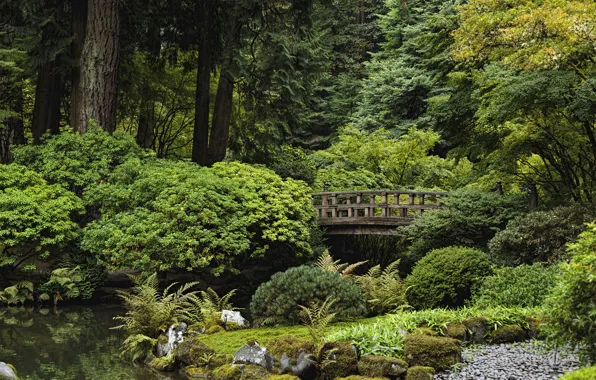 Деревья, пруд, парк, камни, США, кусты, Oregon, Portland