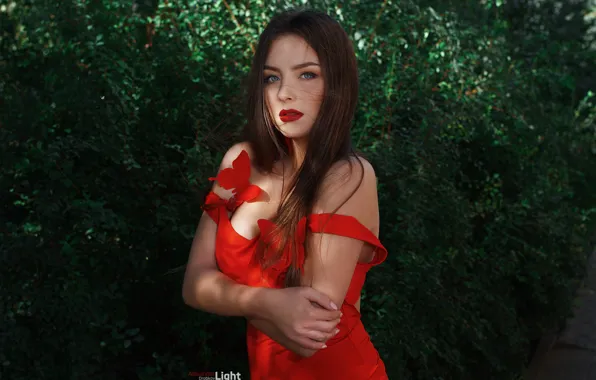 Взгляд, поза, модель, портрет, макияж, платье, прическа, шатенка