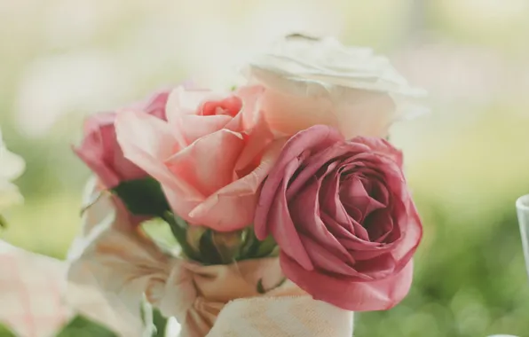 Цветы, розы, лепестки