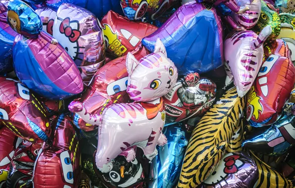 Plastic, cat, balloons, inflatable