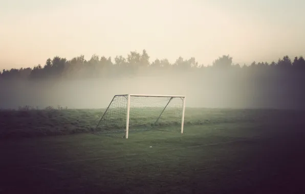 Поле, лес, туман, футбол, ворота