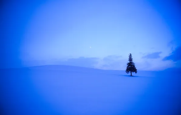 Зима, поле, небо, облака, снег, дерево, холмы