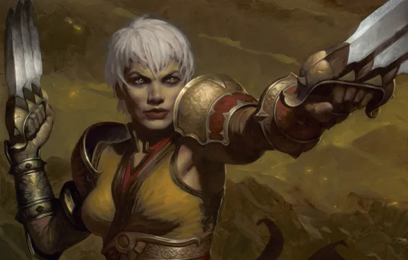 Женщина, ножи, Diablo 3, Монахиня