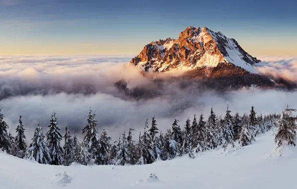 Картинка зима, снег, горы, туман, landscape, winter, snow