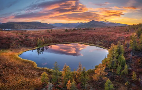 Landscape, nature, scenery, Andrey Grachev